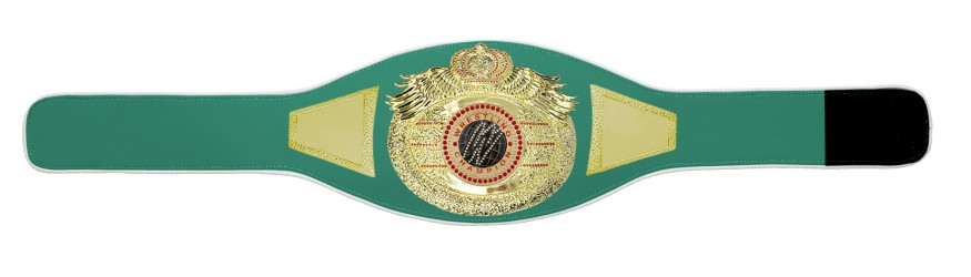 *NEW* PROICON WRESTLING GEM CHAMPIONSHIP BELT/G/WRESTGEMG - AVAILABLE IN 6+ COLOURS